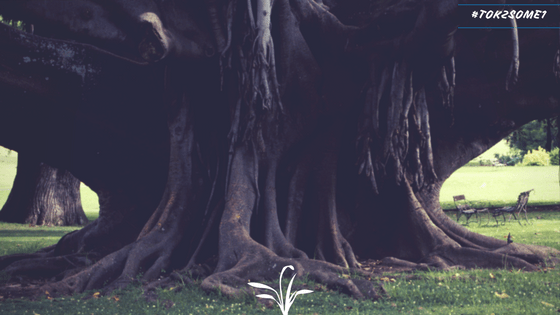 Are they attention seekers?